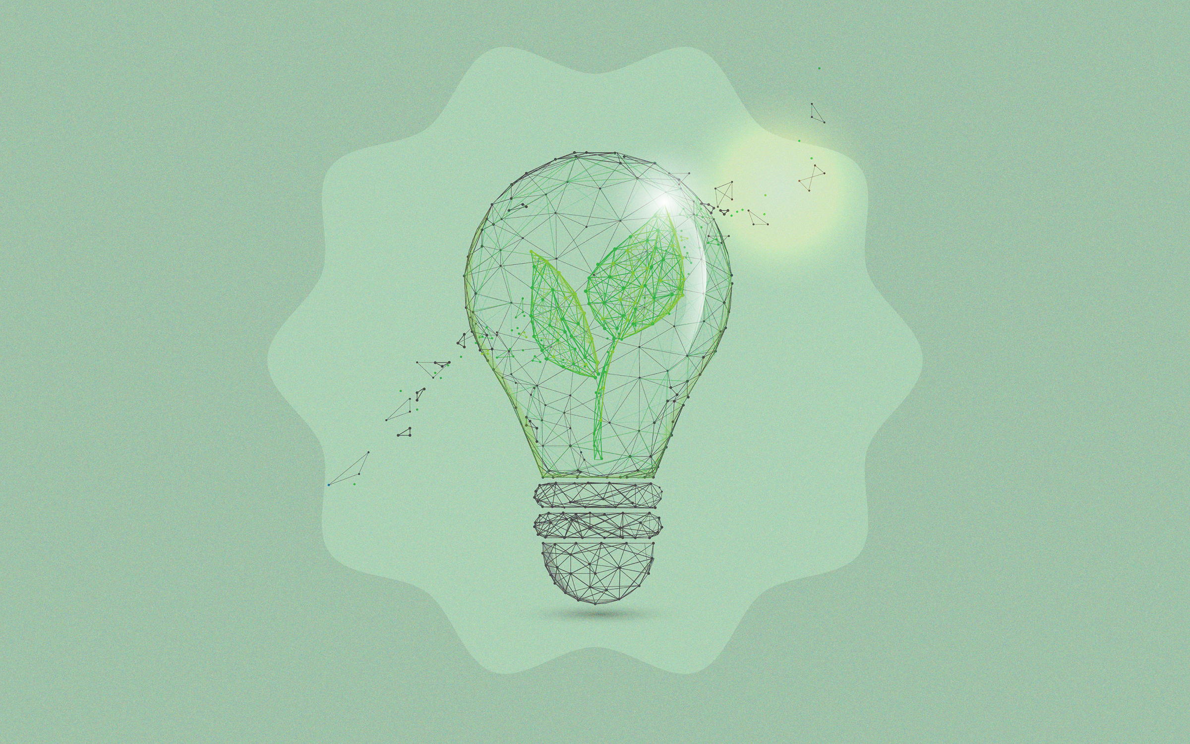 Leaves inside of a glowing lightbulb, representing innovation in sustainability.